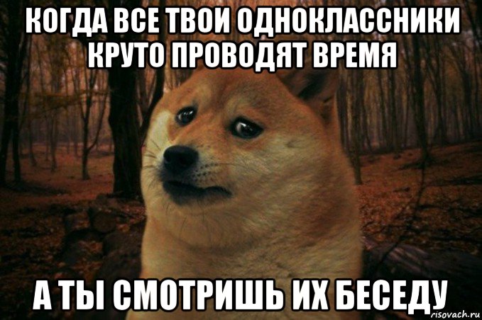 когда все твои одноклассники круто проводят время а ты смотришь их беседу, Мем SAD DOGE