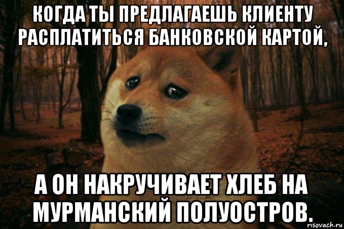 когда ты предлагаешь клиенту расплатиться банковской картой, а он накручивает хлеб на мурманский полуостров., Мем SAD DOGE