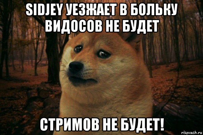 sidjey уезжает в больку видосов не будет стримов не будет!, Мем SAD DOGE