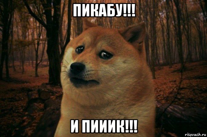 пикабу!!! и пииик!!!, Мем SAD DOGE