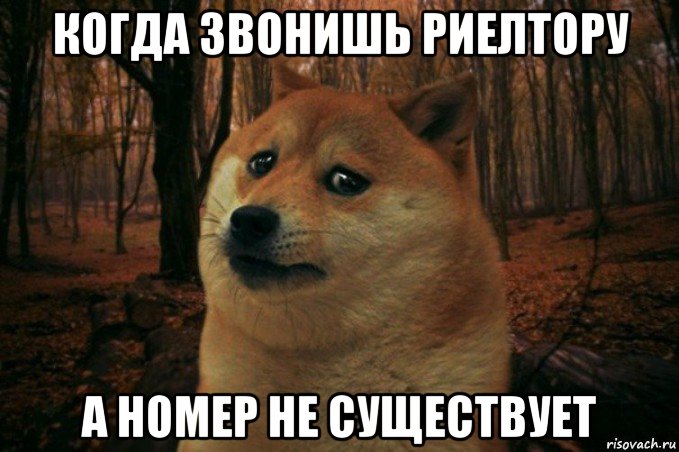 когда звонишь риелтору а номер не существует, Мем SAD DOGE