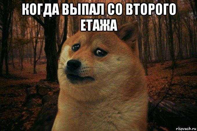 когда выпал со второго етажа , Мем SAD DOGE