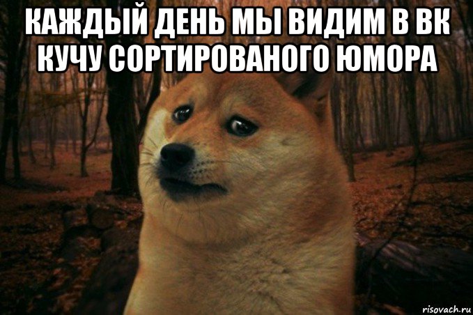 каждый день мы видим в вк кучу сортированого юмора , Мем SAD DOGE