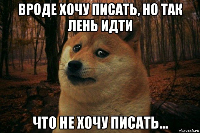 вроде хочу писать, но так лень идти что не хочу писать..., Мем SAD DOGE