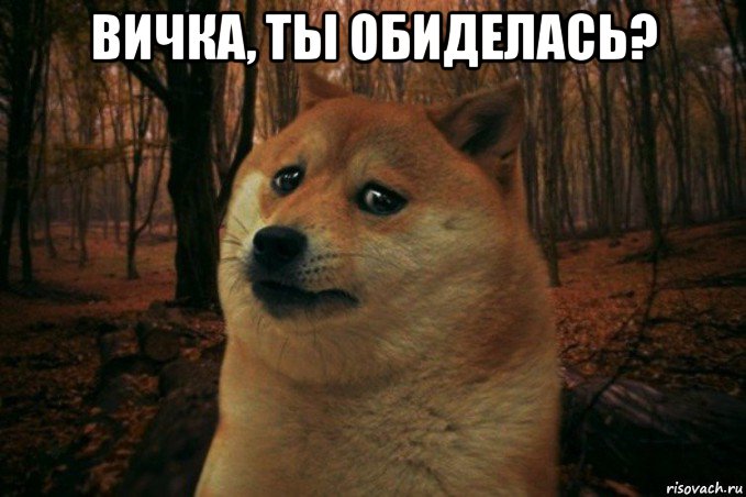 вичка, ты обиделась? , Мем SAD DOGE