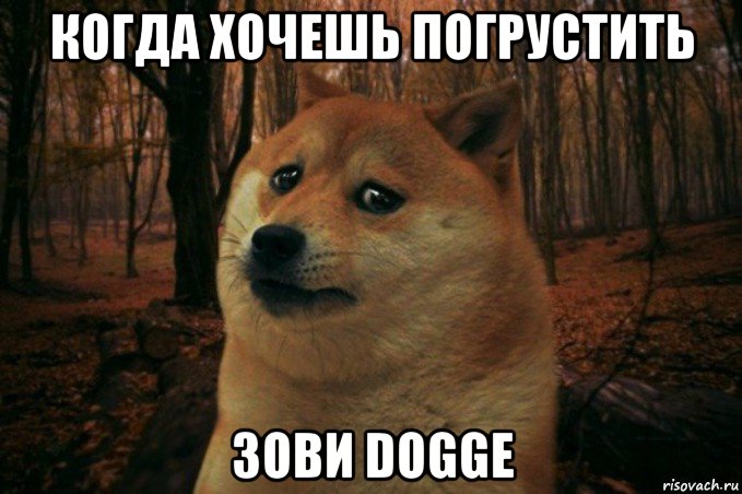 когда хочешь погрустить зови dogge, Мем SAD DOGE