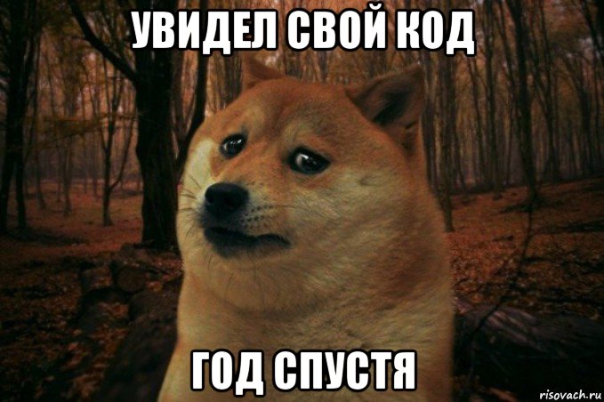 увидел свой код год спустя, Мем SAD DOGE