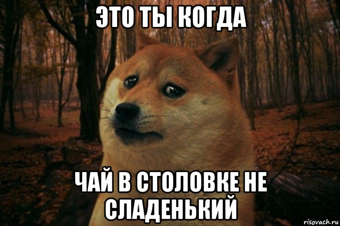 это ты когда чай в столовке не сладенький, Мем SAD DOGE