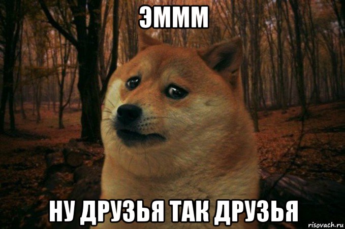 эммм ну друзья так друзья, Мем SAD DOGE