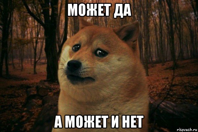 может да а может и нет, Мем SAD DOGE