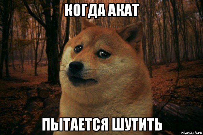 когда акат пытается шутить, Мем SAD DOGE