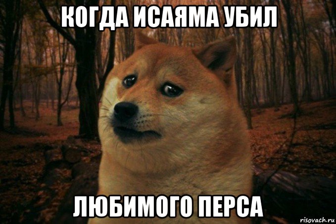 когда исаяма убил любимого перса, Мем SAD DOGE