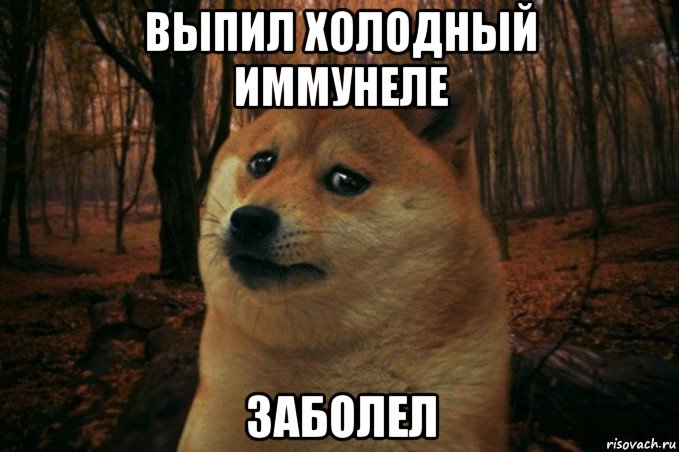 выпил холодный иммунеле заболел, Мем SAD DOGE