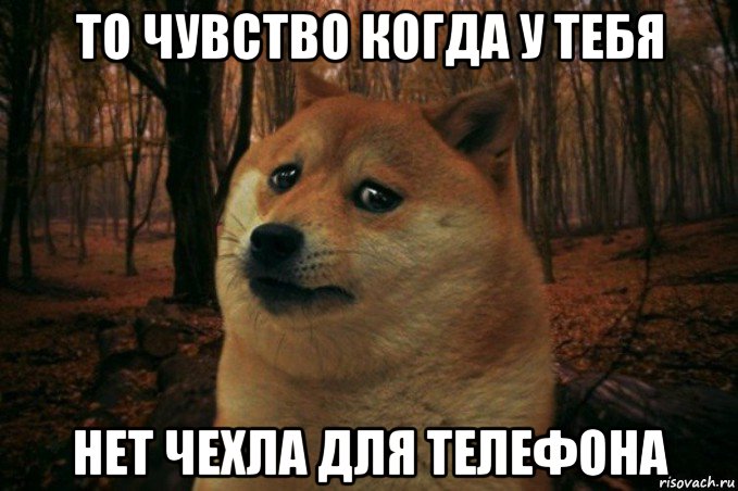 то чувство когда у тебя нет чехла для телефона, Мем SAD DOGE