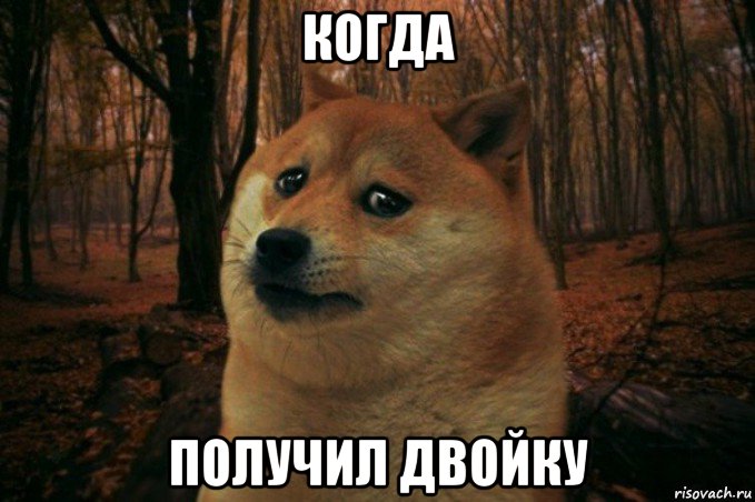 когда получил двойку, Мем SAD DOGE