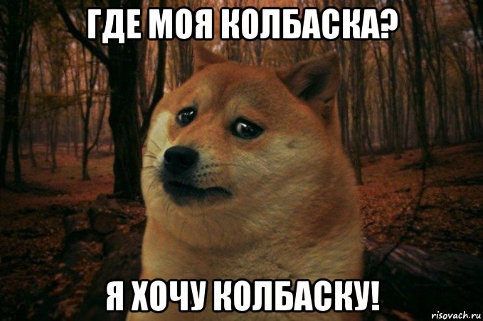 где моя колбаска? я хочу колбаску!, Мем SAD DOGE