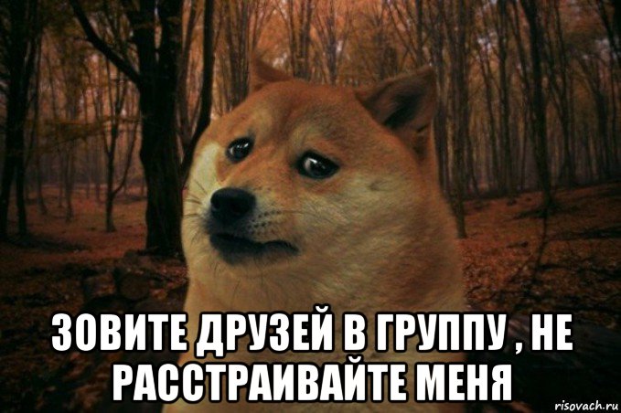  зовите друзей в группу , не расстраивайте меня, Мем SAD DOGE