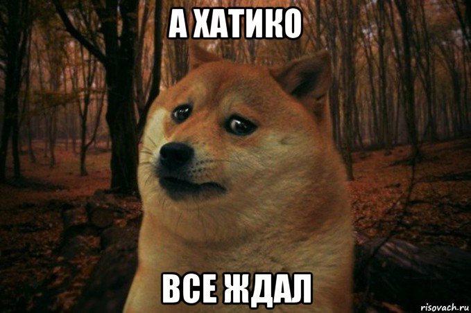 а хатико все ждал, Мем SAD DOGE