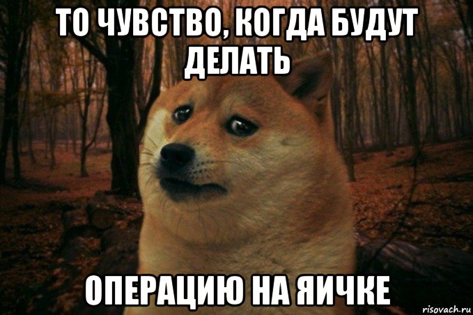 то чувство, когда будут делать операцию на яичке, Мем SAD DOGE