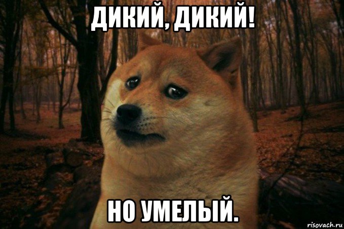 дикий, дикий! но умелый., Мем SAD DOGE