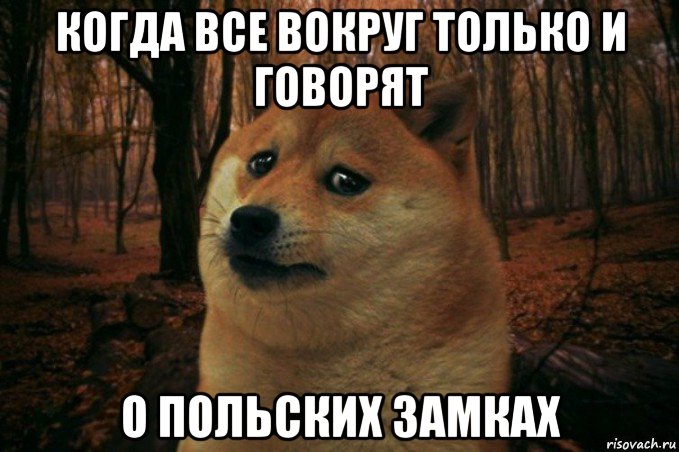 когда все вокруг только и говорят о польских замках, Мем SAD DOGE