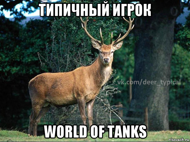 типичный игрок world of tanks