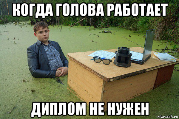 когда голова работает диплом не нужен