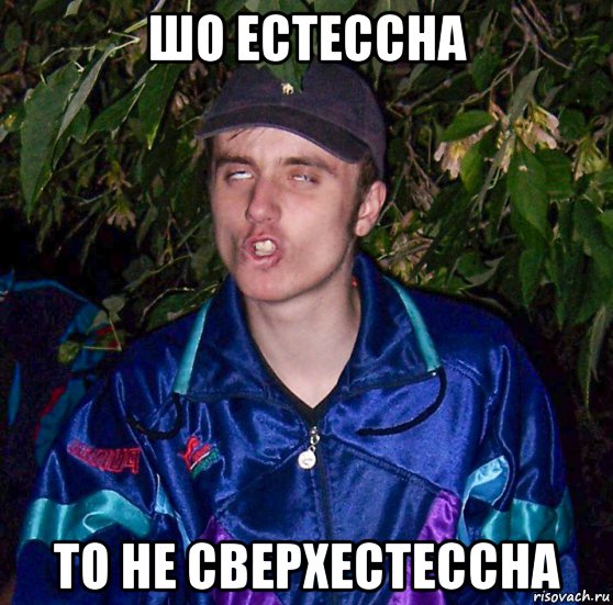 шо естессна то не сверхестессна, Мем Шо естессна
