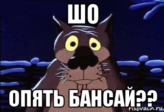 шо опять бансай??