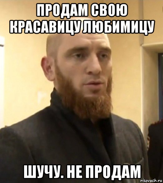 продам свою красавицу любимицу шучу. не продам