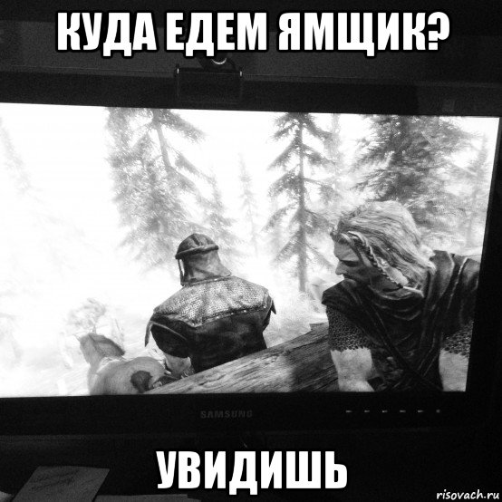 куда едем ямщик? увидишь, Мем Скайрим