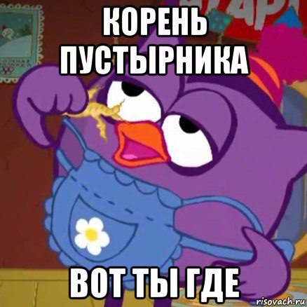 корень пустырника вот ты где