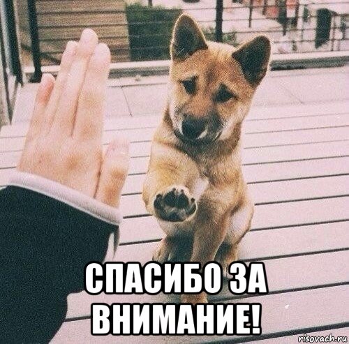  спасибо за внимание!, Мем Собака друг человека