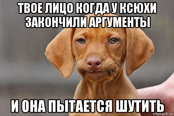 твое лицо когда у ксюхи закончили аргументы и она пытается шутить