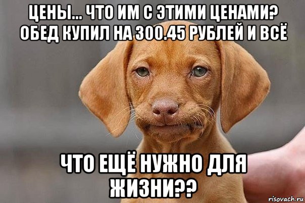 цены... что им с этими ценами? обед купил на 300.45 рублей и всё что ещё нужно для жизни??