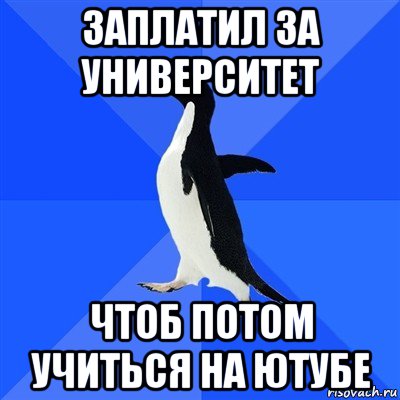 заплатил за университет чтоб потом учиться на ютубе, Мем  Социально-неуклюжий пингвин