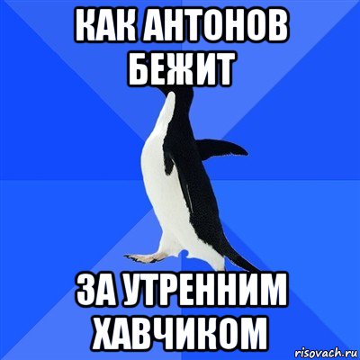 как антонов бежит за утренним хавчиком, Мем  Социально-неуклюжий пингвин