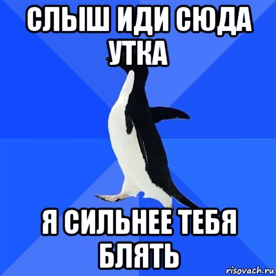 слыш иди сюда утка я сильнее тебя блять, Мем  Социально-неуклюжий пингвин