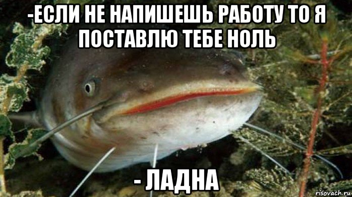 -если не напишешь работу то я поставлю тебе ноль - ладна