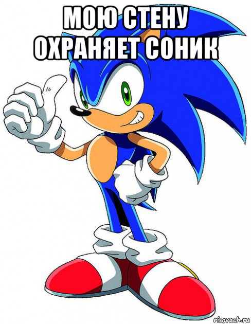 мою стену охраняет соник 