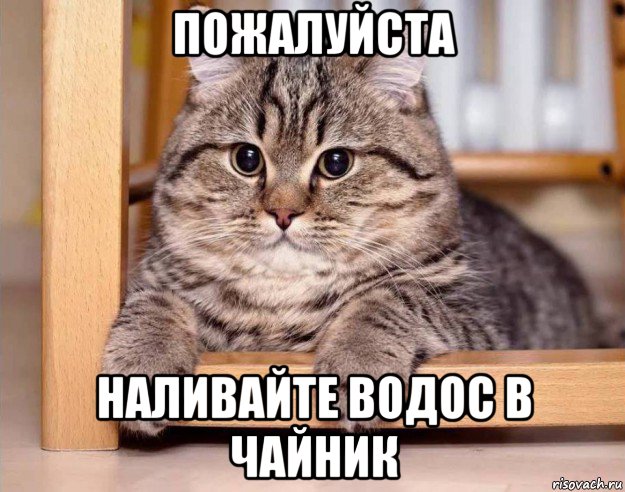 пожалуйста наливайте водос в чайник