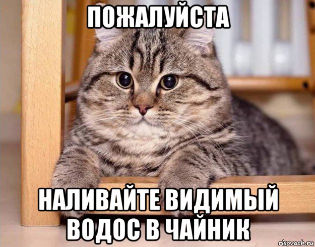 пожалуйста наливайте видимый водос в чайник
