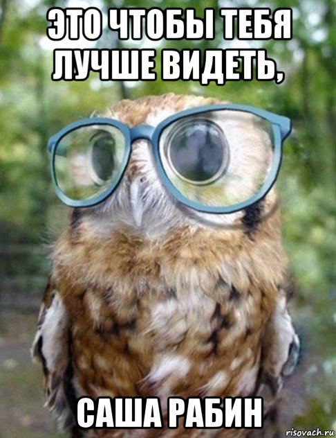 это чтобы тебя лучше видеть, саша рабин, Мем сова в очках