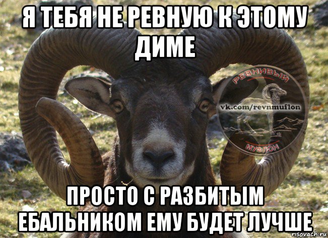 я тебя не ревную к этому диме просто с разбитым ебальником ему будет лучше