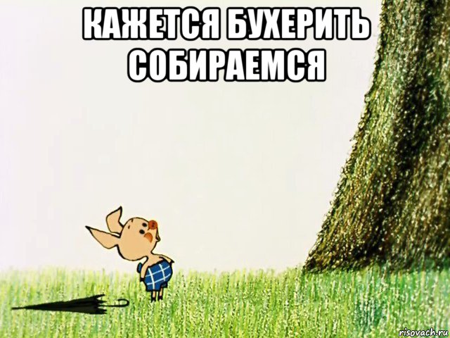 кажется бухерить собираемся 