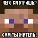 чего смотришь? сам ты житель!, Мем стив