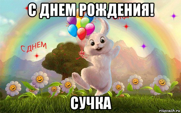 с днем рождения! сучка, Мем Сучка