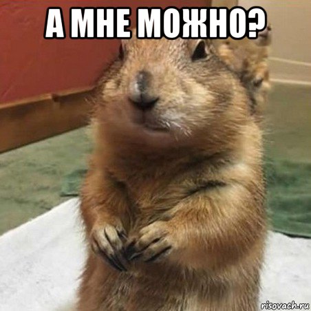 а мне можно? , Мем Суслик спрашивает