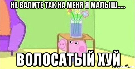 не валите так на меня я малыш..... волосатый хуй, Мем  Свинка пеппа под столом