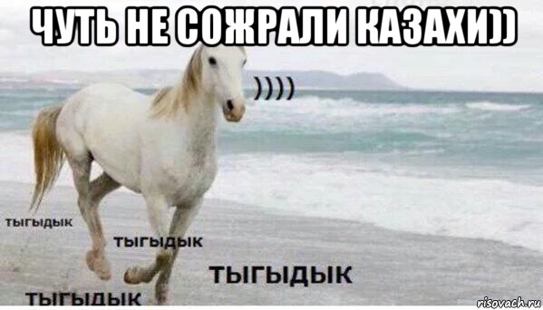 чуть не сожрали казахи)) , Мем   Тыгыдык